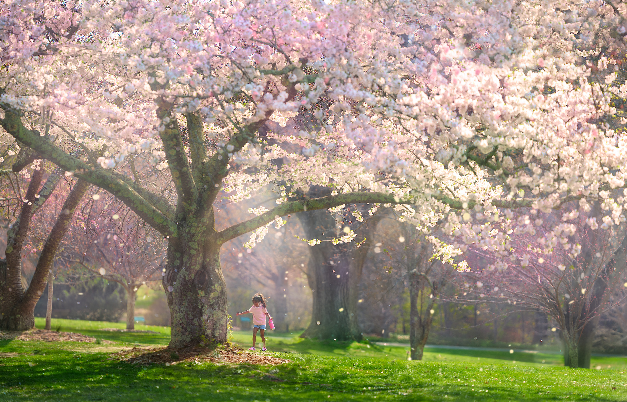 Cherry Lives in Her Fairytales,